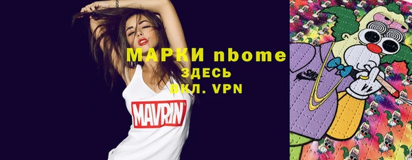 гашик Верея