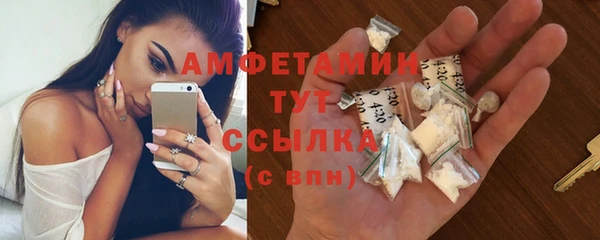 гашик Верея