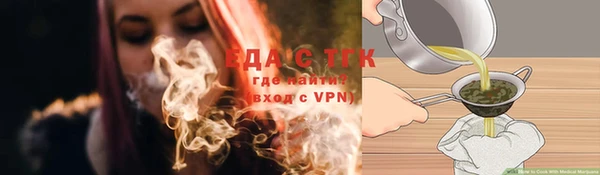гашик Верея