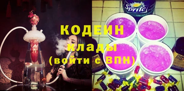 гашик Верея