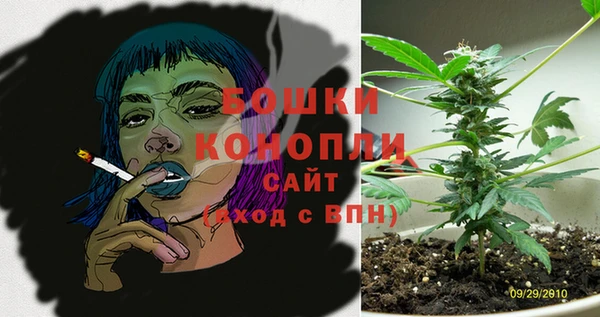 индика Верхнеуральск