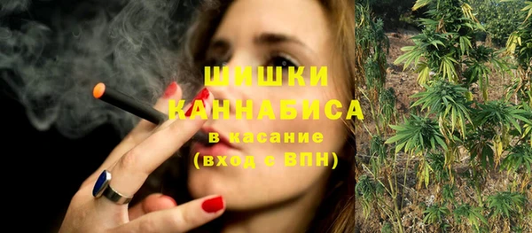 индика Верхнеуральск