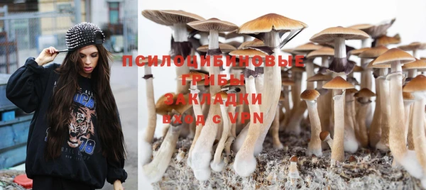 прущая мука Волоколамск