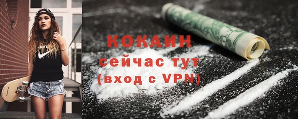 гашик Верея