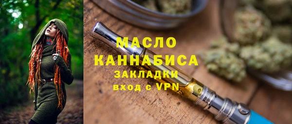 гашик Верея