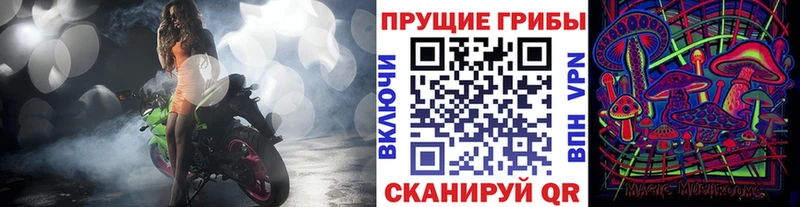 даркнет Telegram  Кызыл  Псилоцибиновые грибы Cubensis  дарнет шоп 